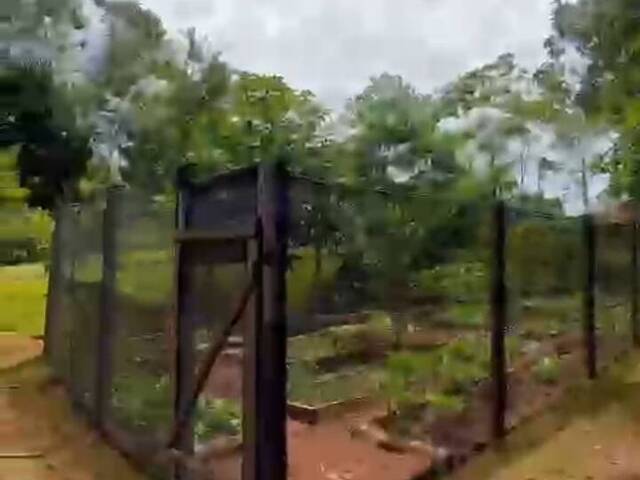 Chácara para Venda em Botucatu - 4