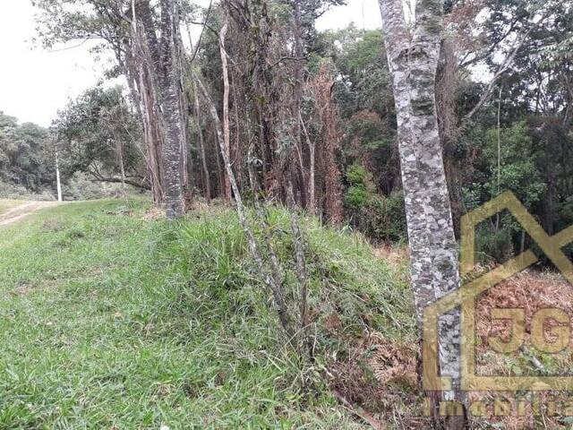 #TE018 - Área para Venda em Mairinque - SP - 3