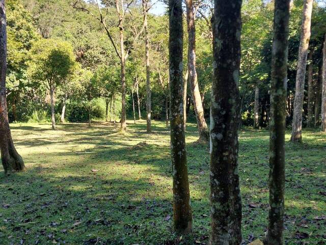 Área para Venda em São Bernardo do Campo - 4