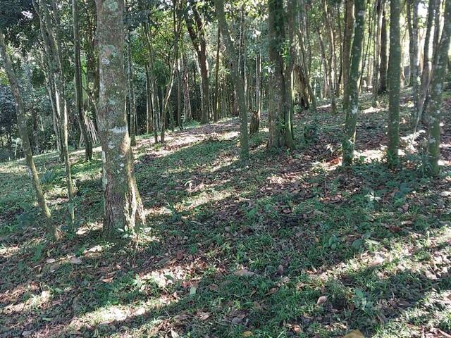 Área para Venda em São Bernardo do Campo - 5