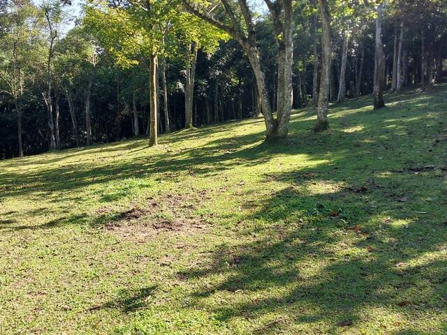 #TE024 - Área para Venda em São Bernardo do Campo - SP - 1