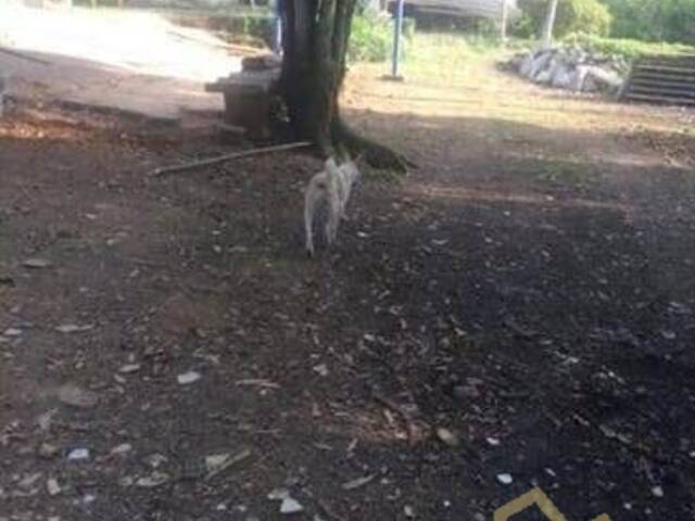 #CH020 - Chácara para Venda em São Bernardo do Campo - SP - 2