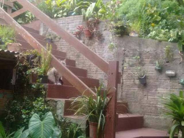 Chácara para Venda em Santo André - 4