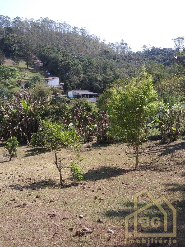 Chácara, 2 quartos, 6250 m² - Foto 34
