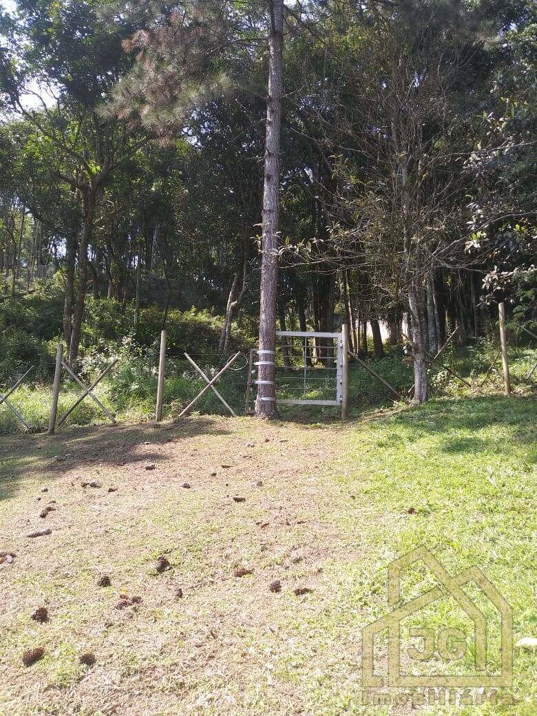 Chácara, 2 quartos, 6250 m² - Foto 35