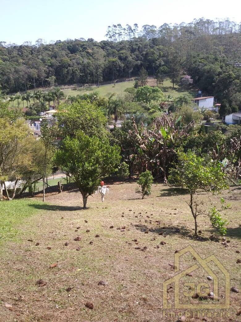 Chácara, 2 quartos, 6250 m² - Foto 36