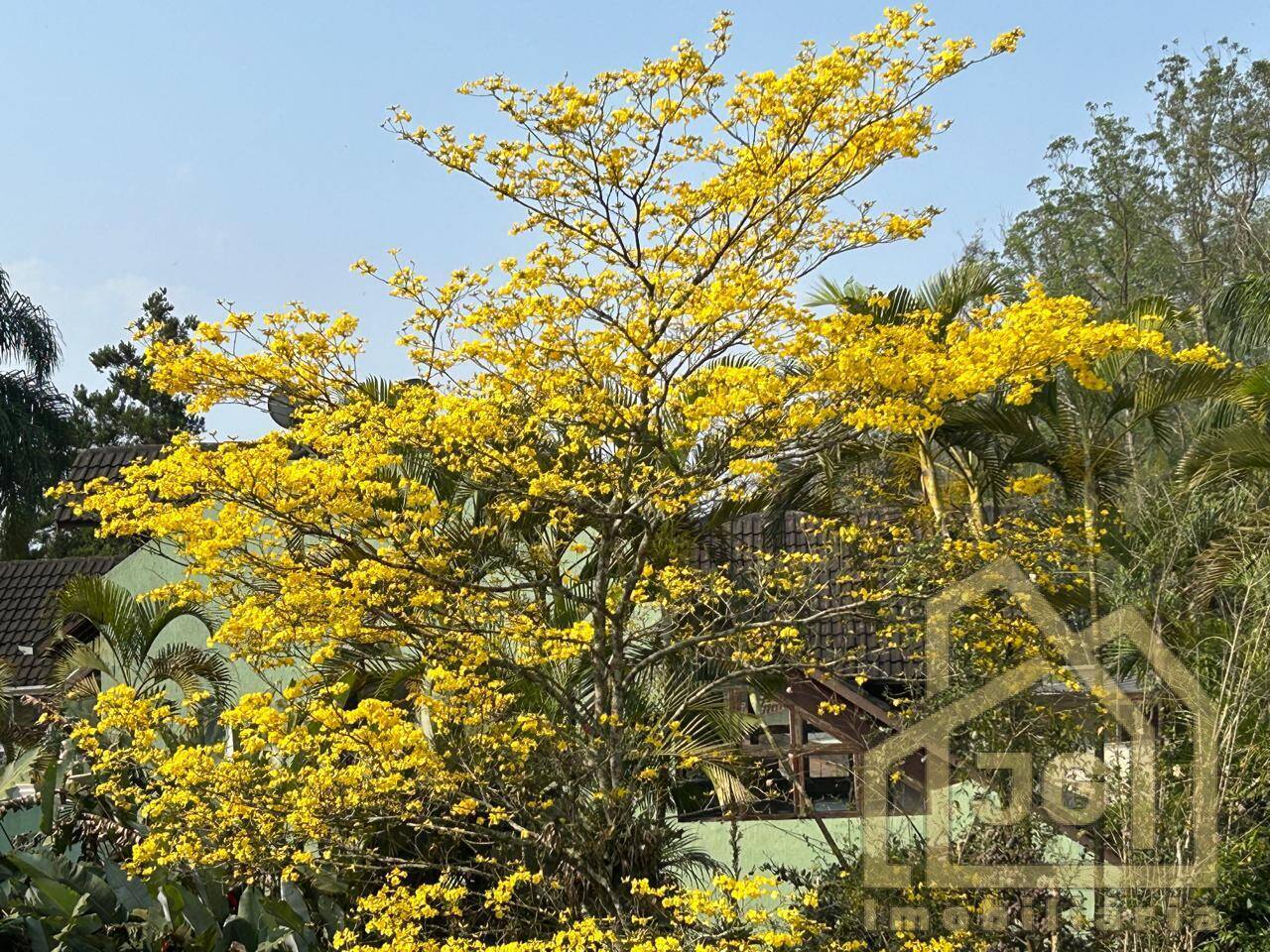 Casa de Condomínio, 4 quartos - Foto 24