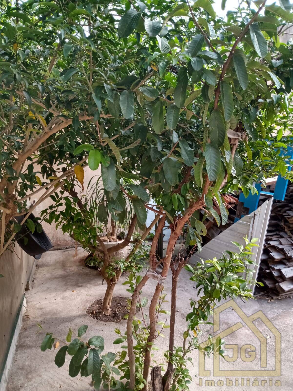 Sobrado, 4 quartos, 680 m² - Foto 18