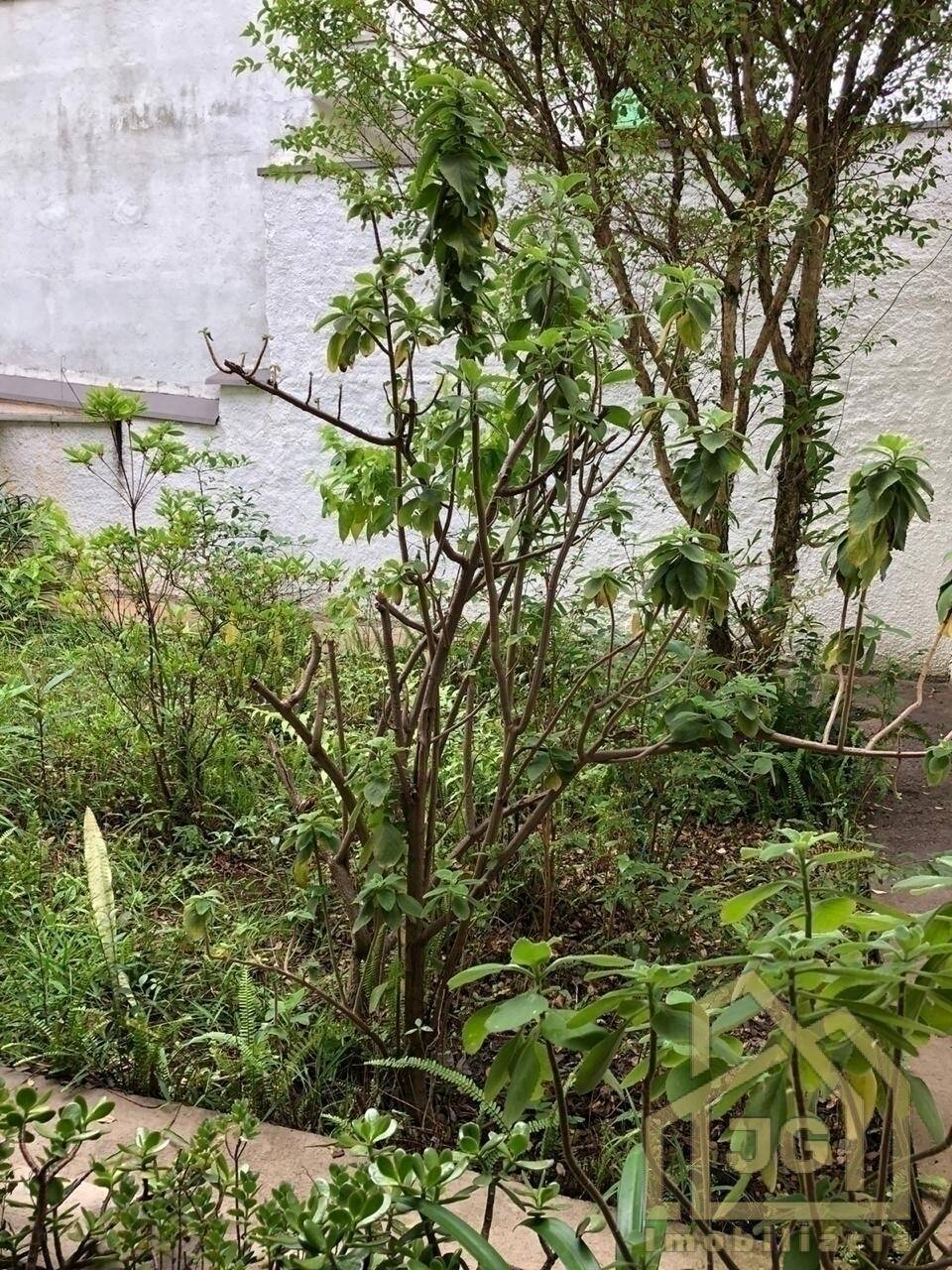 Casa, 6 quartos, 500 m² - Foto 70