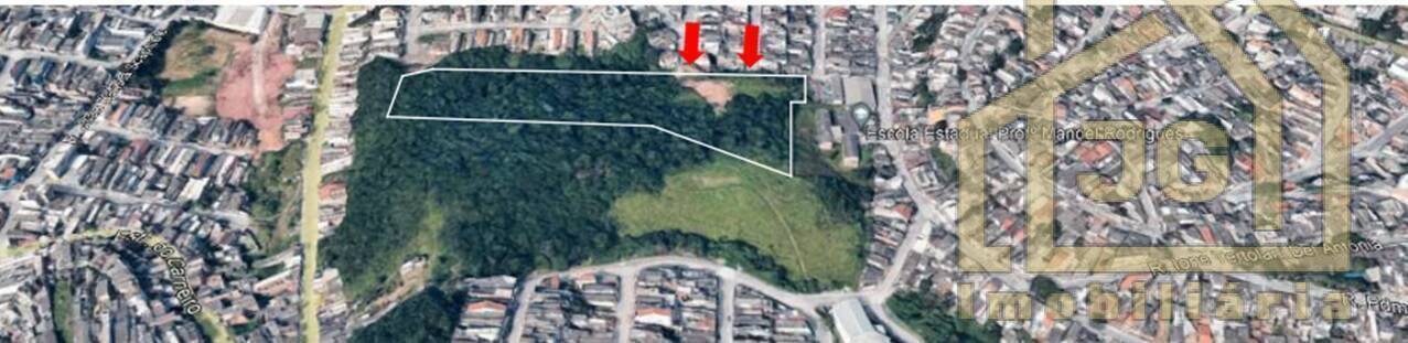 Terreno, 2 hectares - Foto 4