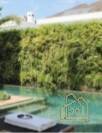 Sobrado, 4 quartos, 420 m² - Foto 28